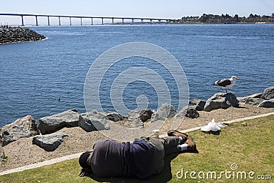 USA - California - San Diego - embarcadero marina park and Coronado Bridge panorama Editorial Stock Photo