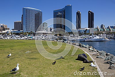 USA - California - San Diego - embarcadero marina park and Marriott Marquis Editorial Stock Photo