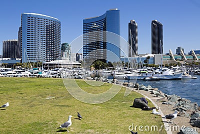 USA - California - San Diego - embarcadero marina park and Marriott Marquis Editorial Stock Photo