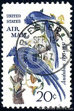 USA - CIRCA 1967: stamp 20 cents printed by USA, shows animal Audubon - Black-throated Magpie-jay Calocitta colliei, circa 1967 Editorial Stock Photo