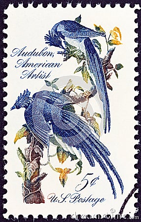 USA - CIRCA 1967: A stamp printed in USA shows Columbia Jays by John James Audubon, circa 1967. Editorial Stock Photo