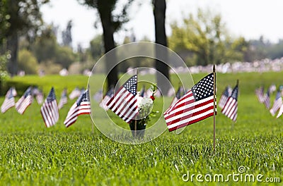 USA Flags at Cemetery Stock Photo