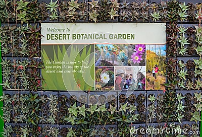 USA, PHENIX, ARIZONA- NOVEMBER 17, 2019: A group of succulent plants in the Phoenix Botanical Garden, Arizona, USA Editorial Stock Photo