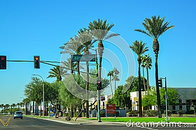 USA, PHENIX, ARIZONA- NOVEMBER 17, 2019: Traffic Lights, Large tall palm trees near a road in Phoenix, Arizona Editorial Stock Photo