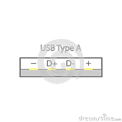 USB connector with signed power and digital signal pins in a simple design with gold pins. View in the section of the Vector Illustration