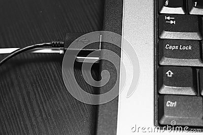 Usb cords inserted in usb sockets on a laptop Stock Photo