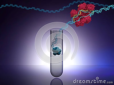 Use of CRISPR technology in embryos Cartoon Illustration