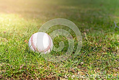 Used baseball laying on green grass on baseball field. Stock Photo