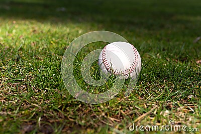 Used baseball laying on green grass Stock Photo