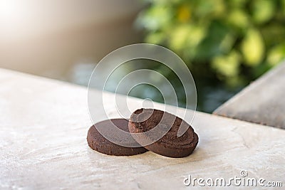 Used coffee grounds with natural background Stock Photo