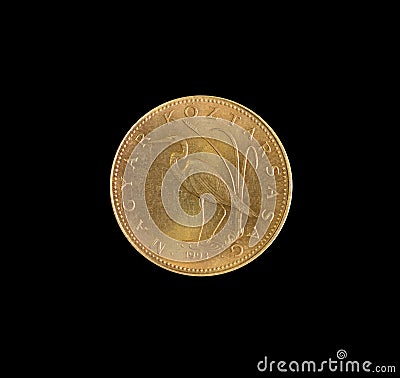 Used 5 Forint coin made by Hungary Stock Photo