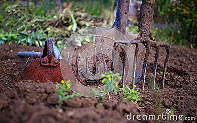 Used gardening tools on garden bed Stock Photo