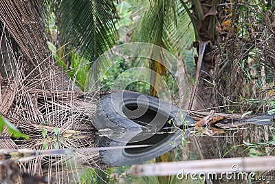 Used truck wheel in waste water Stock Photo