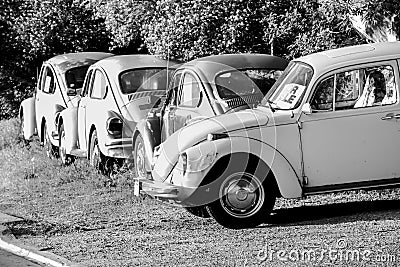 Used Vintage Cars In Late Afternoon Sunlight Stock Photo