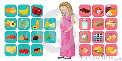 Useful and harmful foods during pregnancy Vector Illustration