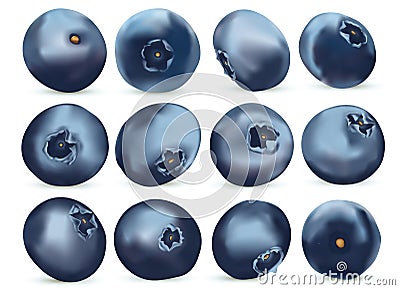 Useful ripe fresh blueberry on white background. Freshly picked blueberry rich in vitamins. Organic berry. Sweet Cartoon Illustration