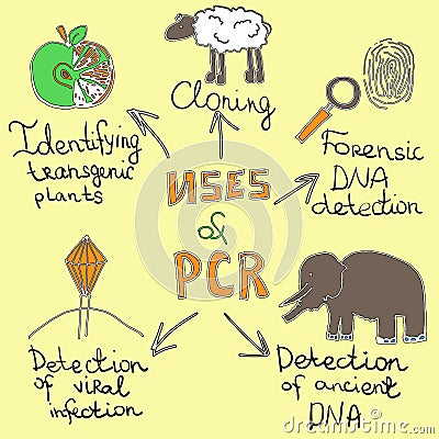 Uses of pcr handdrawn Vector Illustration