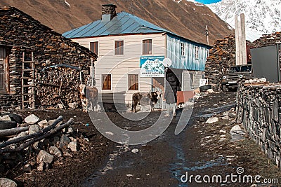 Ushguli guest house Boria. A typical scene from the village everyday in winter Editorial Stock Photo