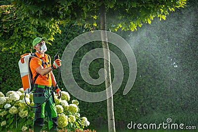 Using Insecticide or Fungicide on a Garden Trees Stock Photo