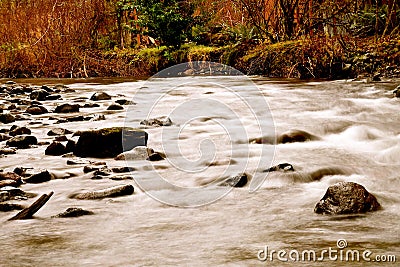 Long Exposure Stream Stock Photo