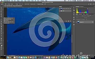 Spot Healing Brush Tool in Photoshop Editorial Stock Photo