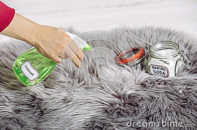 Using spray white vinegar dilution with water and baking soda Sodium bicarbonate in long hair fur carpet . Stock Photo