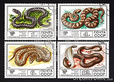 USSR - CIRCA 1977: a series of stamps printed in USSR, shows snakes, CIRCA 1977 Editorial Stock Photo