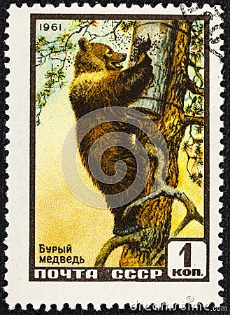 USSR - CIRCA 1961: A stamp printed in USSR Russia shows Brown bear with the inscription Ursus arctos from the series Animals Editorial Stock Photo