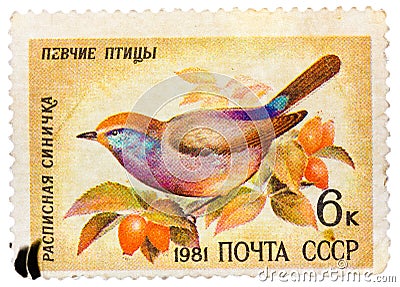 Stamp printed in USSR, shows Siberian Tit (Leptopoecile sophiae), series Song birds Editorial Stock Photo