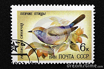 The USSR postage stamp, series - Songbirds, 1981 Editorial Stock Photo