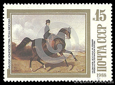 Horsewoman on Orlov-Rastopchin Horse Editorial Stock Photo