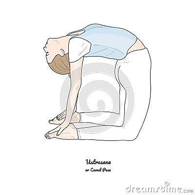 Ustrasana or Camel Pose. Vector Vector Illustration