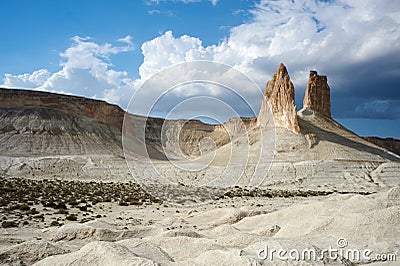 On the Ustyurt Plateau Stock Photo