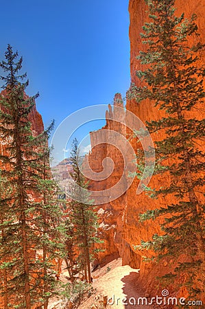 UT-Bryce Canyon National Park Stock Photo