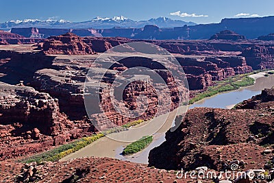 UT-Canyonlands National Pk-White Rim Rd-Gooseneck Stock Photo