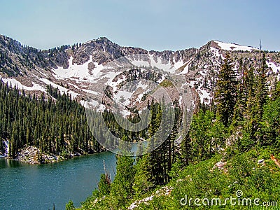 Utah Canyon Hiking Trail towards the Wasatch Mountains Stock Photo