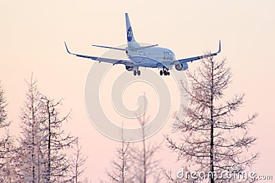 UTair Boeing 737 Editorial Stock Photo