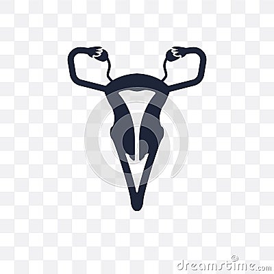 Uterus and Fallopian tube transparent icon. Uterus and Fallopian Vector Illustration