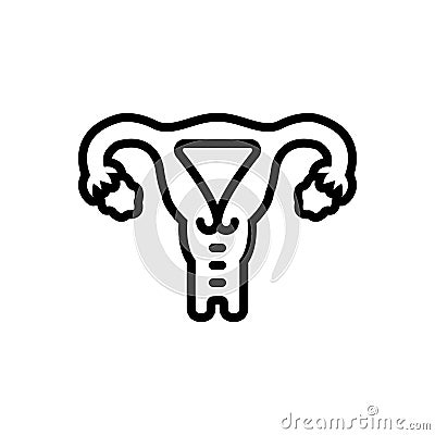 Black line icon for Uterus, ovary and womb Vector Illustration
