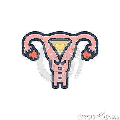 Color illustration icon for Uterus, ovary and womb Cartoon Illustration