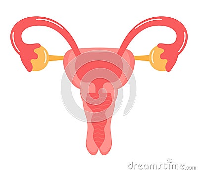 Uterus icon vector. Internal woman organ. World menopause day, endometriosis illustration Vector Illustration