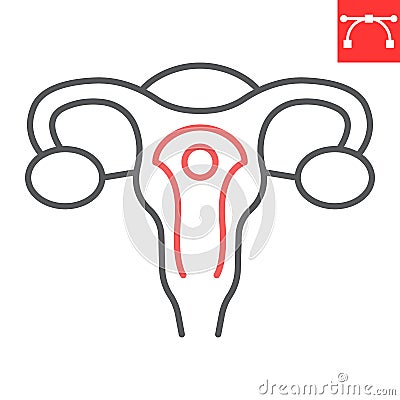 Uterus line icon Vector Illustration