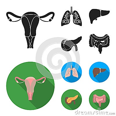 Uterus, lungs, liver, pancreas. Organs set collection icons in black, flat style vector symbol stock illustration web. Vector Illustration