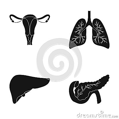 Uterus, lungs, liver, pancreas. Organs set collection icons in black style vector symbol stock illustration web. Vector Illustration