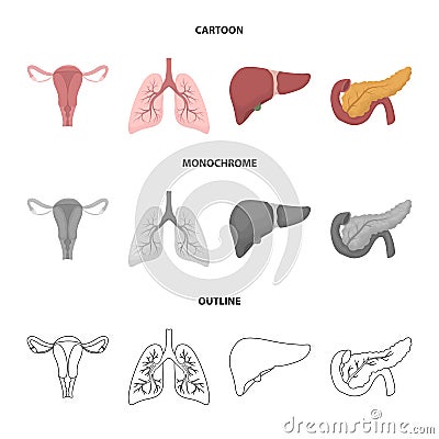 Uterus, lungs, liver, pancreas. Organs set collection icons in cartoon,outline,monochrome style vector symbol stock Vector Illustration