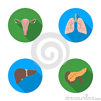 Uterus, lungs, liver, pancreas. Organs set collection icons in flat style vector symbol stock illustration web. Vector Illustration