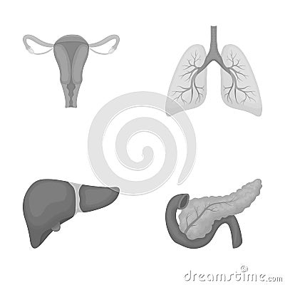 Uterus, lungs, liver, pancreas. Organs set collection icons in monochrome style vector symbol stock illustration web. Vector Illustration