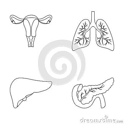 Uterus, lungs, liver, pancreas. Organs set collection icons in outline style vector symbol stock illustration web. Vector Illustration