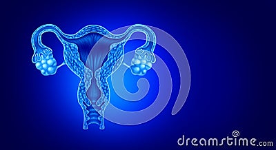 Uterus And Ovaries Cartoon Illustration
