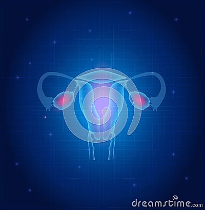 Uterus and ovaries background Vector Illustration